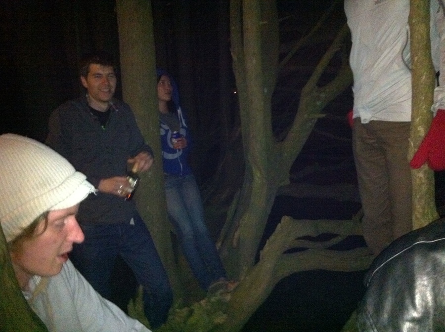 Hanging out in the trees